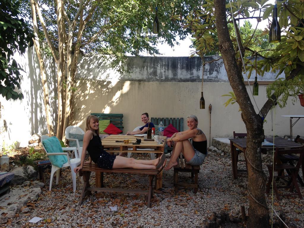 Akasha Hostel Mérida Eksteriør billede