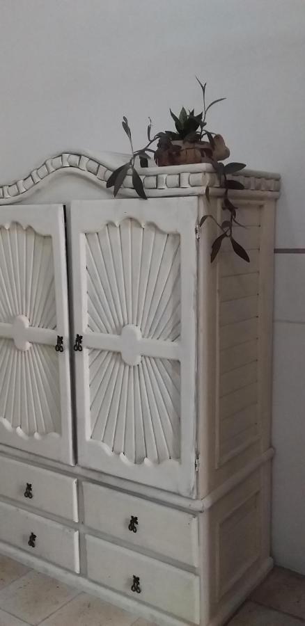 Akasha Hostel Mérida Eksteriør billede