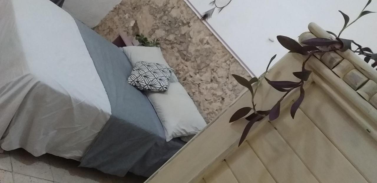 Akasha Hostel Mérida Eksteriør billede